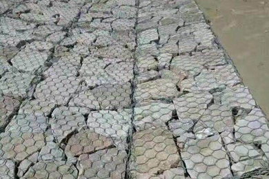 格宾网